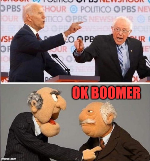 boomers | OK BOOMER | image tagged in berney,boomer | made w/ Imgflip meme maker