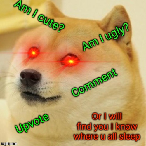 Doge Meme | Am I cute? Am I ugly? Comment; Or I will find you I know where u all sleep; Upvote | image tagged in memes,doge | made w/ Imgflip meme maker