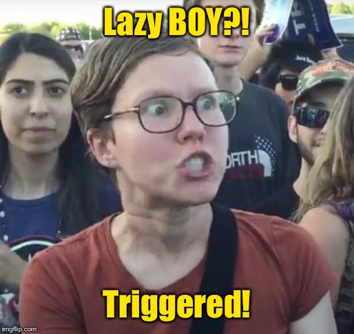 Triggered feminist | Lazy BOY?! Triggered! | image tagged in triggered feminist | made w/ Imgflip meme maker