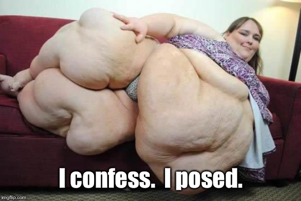fat girl | I confess.  I posed. | image tagged in fat girl | made w/ Imgflip meme maker