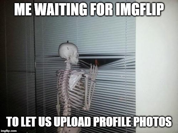 Waiting Skeleton | ME WAITING FOR IMGFLIP; TO LET US UPLOAD PROFILE PHOTOS | image tagged in waiting skeleton | made w/ Imgflip meme maker