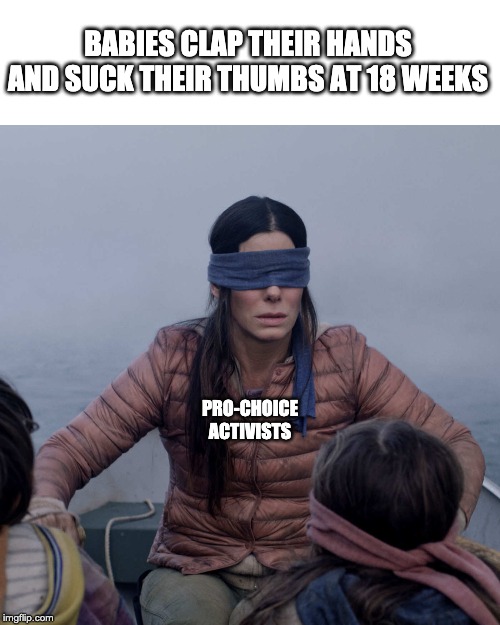 When science is not on your side, turn a blind eye | BABIES CLAP THEIR HANDS AND SUCK THEIR THUMBS AT 18 WEEKS; PRO-CHOICE ACTIVISTS | image tagged in bird box,prolife,abortion,abortion is murder,adoption | made w/ Imgflip meme maker