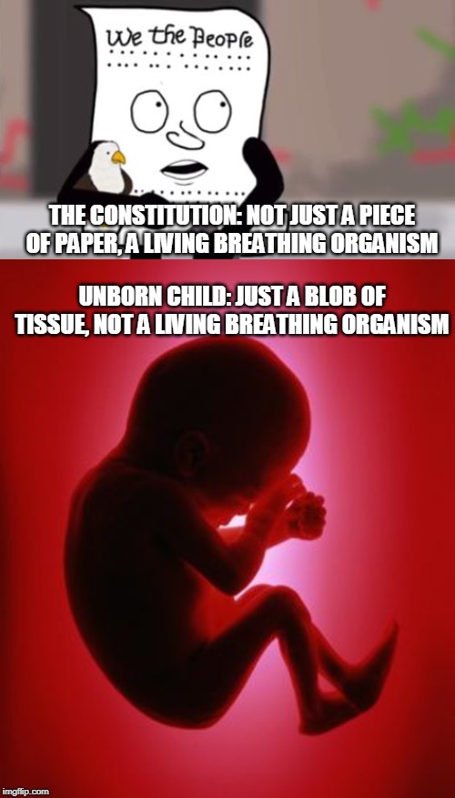 The Essence of Liberal Logic | THE CONSTITUTION: NOT JUST A PIECE OF PAPER, A LIVING BREATHING ORGANISM; UNBORN CHILD: JUST A BLOB OF TISSUE, NOT A LIVING BREATHING ORGANISM | image tagged in constitution,liberal logic,unborn child,abortion,liberalism,biology | made w/ Imgflip meme maker