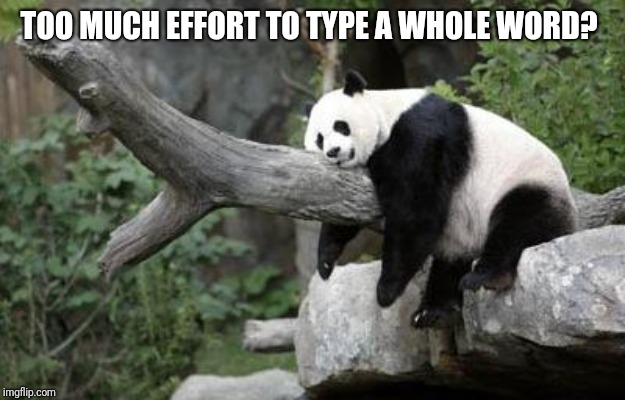 lazy panda | TOO MUCH EFFORT TO TYPE A WHOLE WORD? | image tagged in lazy panda | made w/ Imgflip meme maker