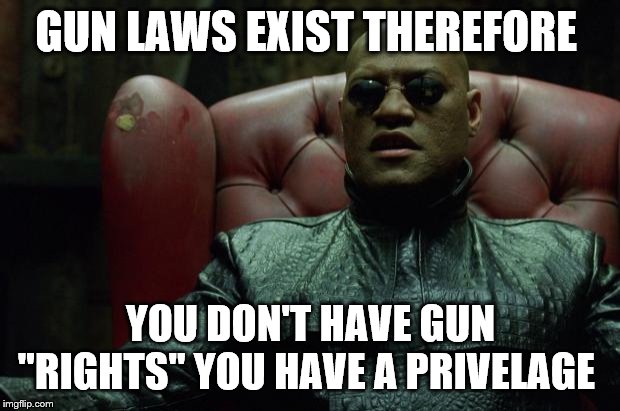 Matrix Morpheus  | GUN LAWS EXIST THEREFORE YOU DON'T HAVE GUN "RIGHTS" YOU HAVE A PRIVELAGE | image tagged in matrix morpheus | made w/ Imgflip meme maker