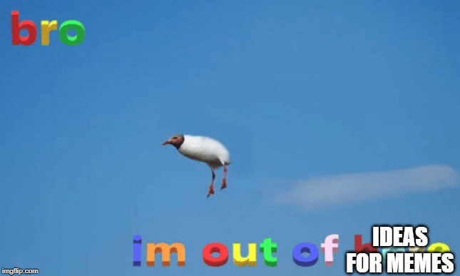 bro im out of here | IDEAS FOR MEMES | image tagged in bro im out of here | made w/ Imgflip meme maker
