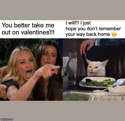 Woman Yelling At Cat | I will!!! I just hope you don’t remember your way back home 😬; You better take me out on valentines!!! | image tagged in memes,woman yelling at cat | made w/ Imgflip meme maker