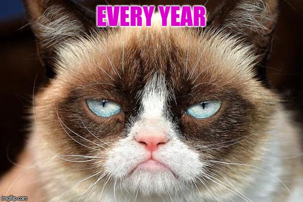 Grumpy Cat Not Amused Meme | EVERY YEAR | image tagged in memes,grumpy cat not amused,grumpy cat | made w/ Imgflip meme maker