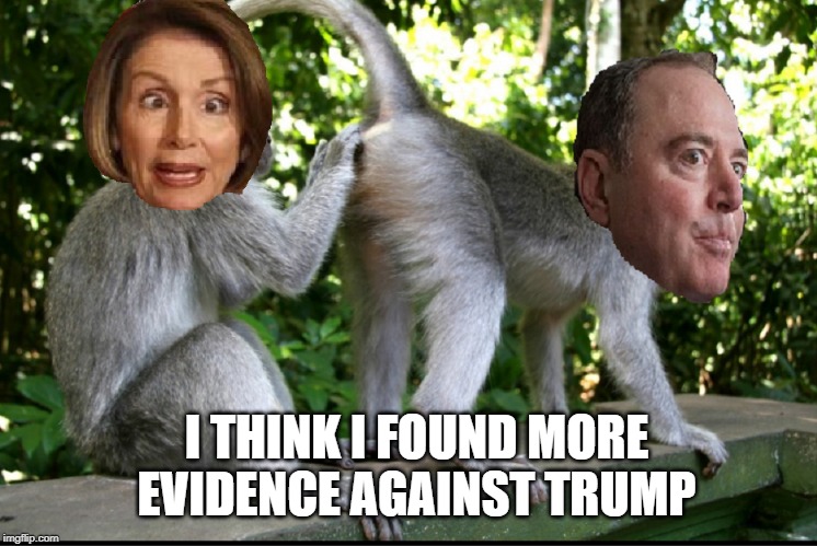 Nancy Pelosi and Adam Schiff | I THINK I FOUND MORE EVIDENCE AGAINST TRUMP | image tagged in nancy pelosi and adam schiff | made w/ Imgflip meme maker