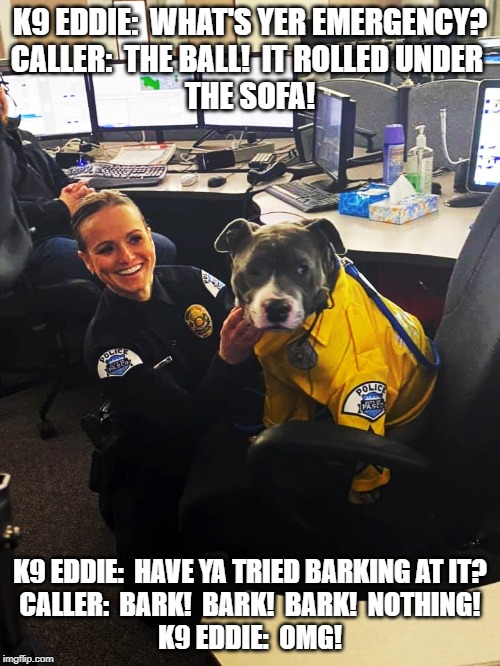 K9 Eddie dispatching Blank Meme Template