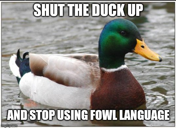 Actual Advice Mallard | SHUT THE DUCK UP; AND STOP USING FOWL LANGUAGE | image tagged in memes,actual advice mallard | made w/ Imgflip meme maker