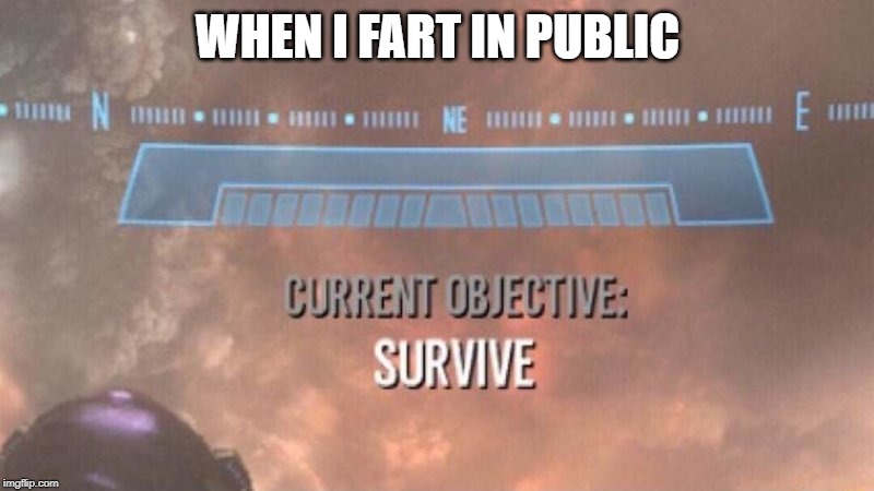 Current Objective: Survive | WHEN I FART IN PUBLIC | image tagged in current objective survive | made w/ Imgflip meme maker