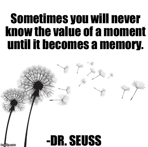 Sometimes you will never know the value of a moment until it becomes a memory. -DR. SEUSS | image tagged in sometimes,sometimes you will never know the value of a moment until it becomes a memory,dr seuss quote,dr seuss,theodor seuss ge | made w/ Imgflip meme maker
