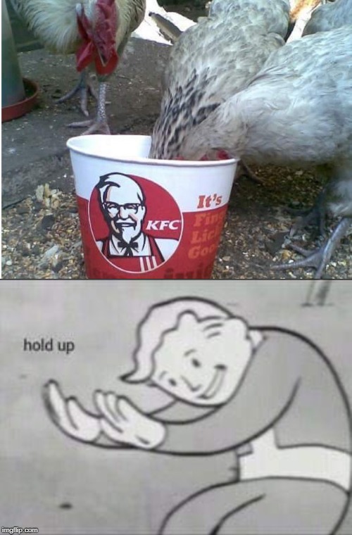 Chicken Cannibalism! | image tagged in fallout hold up,cannibalism,chicken,kfc,oh naw | made w/ Imgflip meme maker