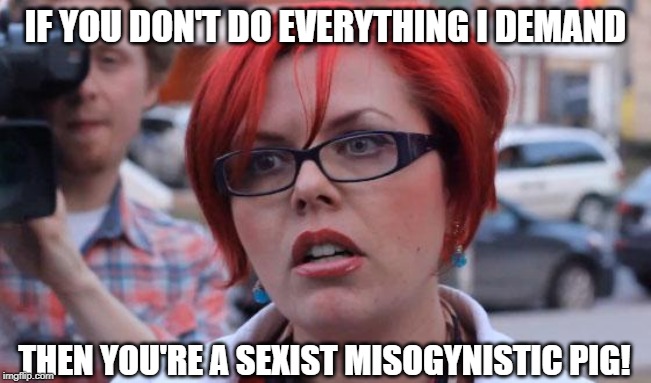 Angry Feminist | IF YOU DON'T DO EVERYTHING I DEMAND THEN YOU'RE A SEXIST MISOGYNISTIC PIG! | image tagged in angry feminist | made w/ Imgflip meme maker