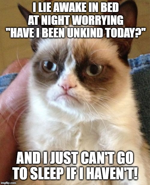 Grumpy Cat Meme | I LIE AWAKE IN BED AT NIGHT WORRYING "HAVE I BEEN UNKIND TODAY?"; AND I JUST CAN'T GO TO SLEEP IF I HAVEN'T! | image tagged in memes,grumpy cat | made w/ Imgflip meme maker