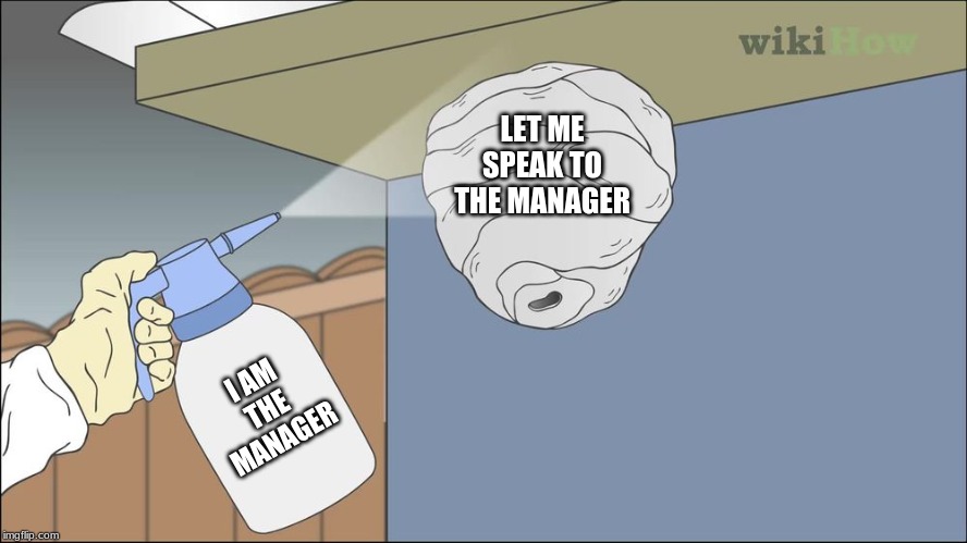 Karen memes | LET ME SPEAK TO THE MANAGER; I AM THE MANAGER | image tagged in karen,memes | made w/ Imgflip meme maker