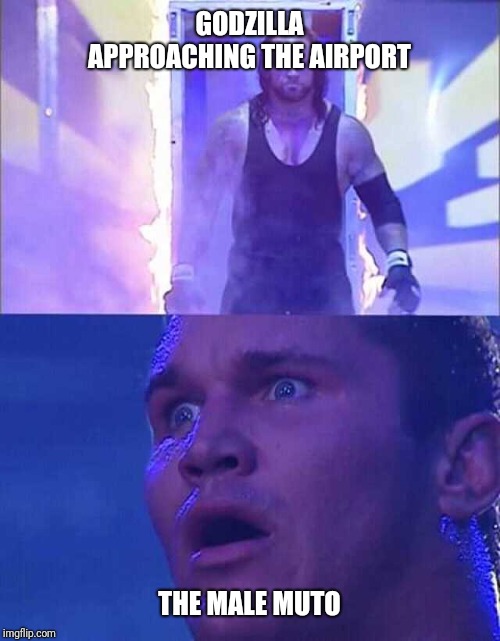 Randy Orton, Undertaker | GODZILLA APPROACHING THE AIRPORT; THE MALE MUTO | image tagged in randy orton undertaker | made w/ Imgflip meme maker