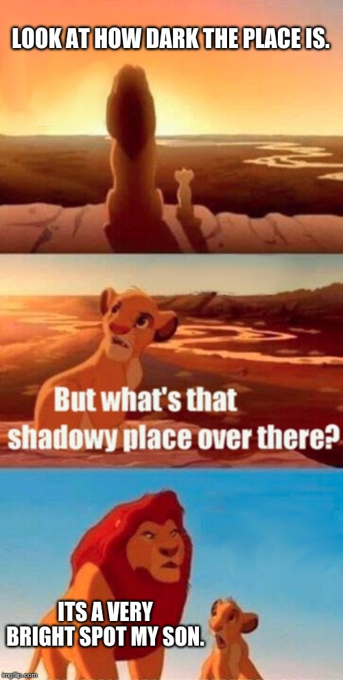 Simba Shadowy Place | LOOK AT HOW DARK THE PLACE IS. ITS A VERY BRIGHT SPOT MY SON. | image tagged in memes,simba shadowy place | made w/ Imgflip meme maker