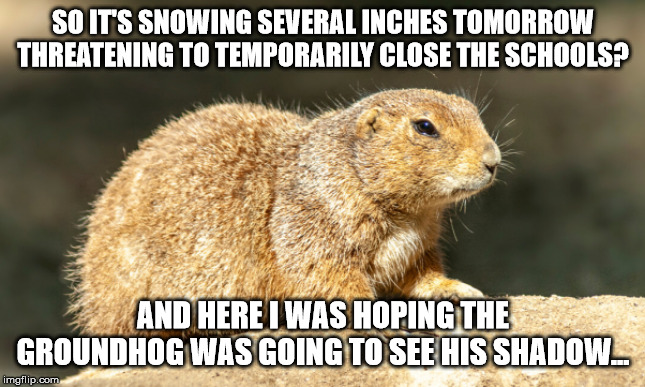 Groundhog Meme | SO IT'S SNOWING SEVERAL INCHES TOMORROW THREATENING TO TEMPORARILY CLOSE THE SCHOOLS? AND HERE I WAS HOPING THE GROUNDHOG WAS GOING TO SEE HIS SHADOW... | image tagged in groundhog day,groundhog,snow | made w/ Imgflip meme maker