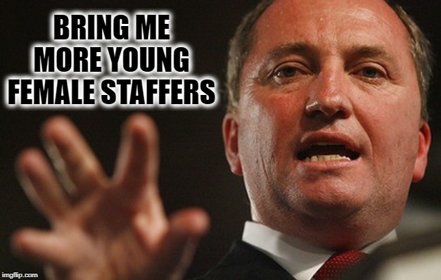 Drunk Politician | BRING ME MORE YOUNG FEMALE STAFFERS | image tagged in drunk politician | made w/ Imgflip meme maker