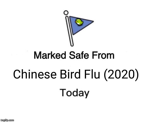 Marked Safe From | 🐦; Chinese Bird Flu (2020) | image tagged in memes,marked safe from | made w/ Imgflip meme maker