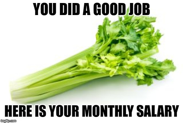 YOU DID A GOOD JOB; HERE IS YOUR MONTHLY SALARY | image tagged in funny memes | made w/ Imgflip meme maker