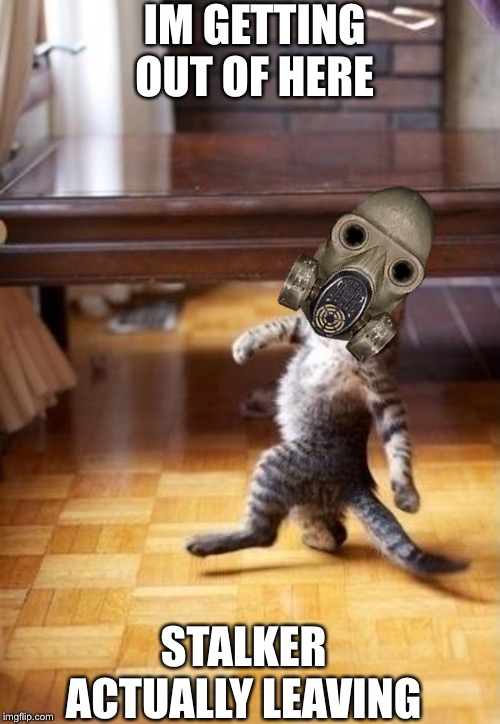 Cool Cat Stroll Meme | IM GETTING OUT OF HERE; STALKER ACTUALLY LEAVING | image tagged in memes,cool cat stroll,stalker | made w/ Imgflip meme maker