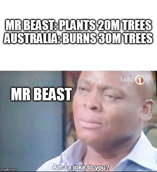 am I a joke to you | MR BEAST: PLANTS 20M TREES
AUSTRALIA: BURNS 30M TREES; MR BEAST | image tagged in am i a joke to you | made w/ Imgflip meme maker