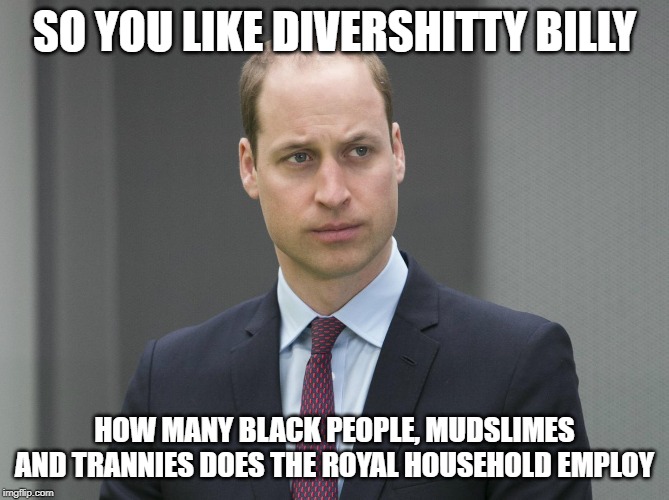 Sad Prince William | SO YOU LIKE DIVERSHITTY BILLY; HOW MANY BLACK PEOPLE, MUDSLIMES AND TRANNIES DOES THE ROYAL HOUSEHOLD EMPLOY | image tagged in sad prince william | made w/ Imgflip meme maker