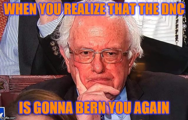 Bernie Sanders SOTU | WHEN YOU REALIZE THAT THE DNC; IS GONNA BERN YOU AGAIN | image tagged in bernie sanders sotu | made w/ Imgflip meme maker