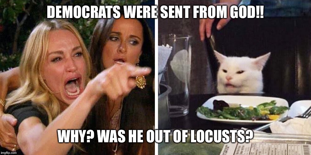 Smudge the cat | DEMOCRATS WERE SENT FROM GOD!! WHY? WAS HE OUT OF LOCUSTS? | image tagged in smudge the cat | made w/ Imgflip meme maker