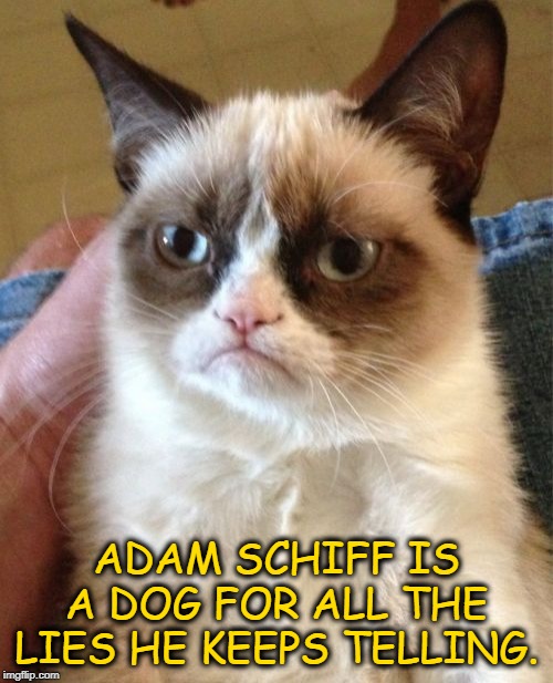 Adam Schiff is a Dog | ADAM SCHIFF IS A DOG FOR ALL THE LIES HE KEEPS TELLING. | image tagged in grumpy cat,adam schiff,liar,liberals,democrats | made w/ Imgflip meme maker