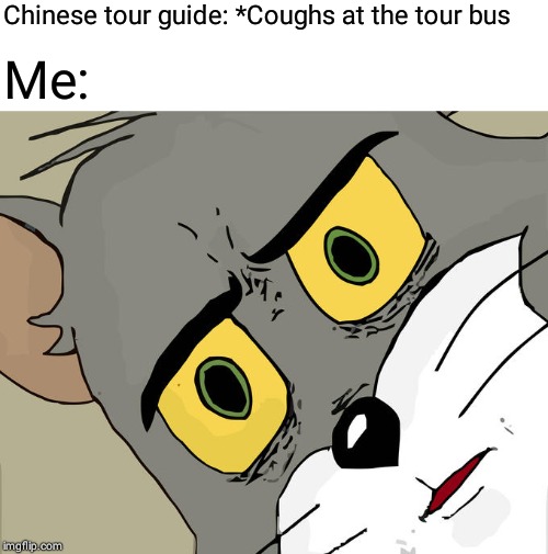 Unsettled Tom | Chinese tour guide: *Coughs at the tour bus; Me: | image tagged in memes,unsettled tom | made w/ Imgflip meme maker