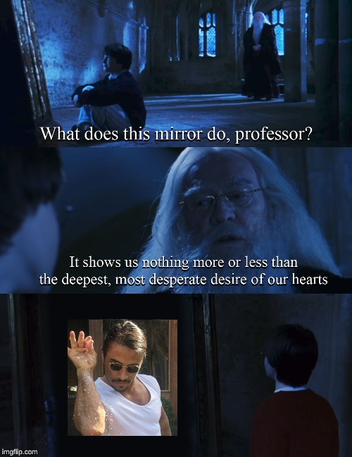 Harry potter mirror | image tagged in harry potter mirror | made w/ Imgflip meme maker