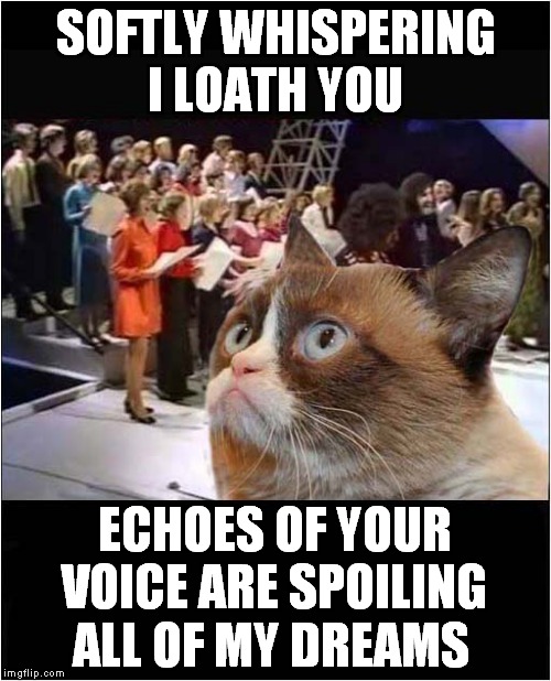 Grumpy Vs The Congregation | SOFTLY WHISPERING I LOATH YOU; ECHOES OF YOUR VOICE ARE SPOILING; ALL OF MY DREAMS | image tagged in fun,grumpy cat,top of the pops,1971 | made w/ Imgflip meme maker