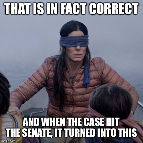 Bird Box Meme | THAT IS IN FACT CORRECT AND WHEN THE CASE HIT THE SENATE, IT TURNED INTO THIS | image tagged in memes,bird box | made w/ Imgflip meme maker