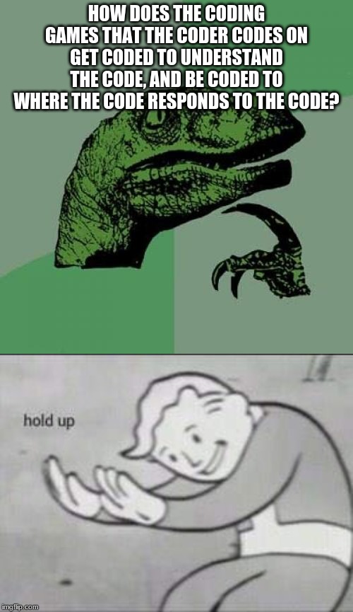 HOW DOES THE CODING GAMES THAT THE CODER CODES ON GET CODED TO UNDERSTAND THE CODE, AND BE CODED TO WHERE THE CODE RESPONDS TO THE CODE? | image tagged in memes,philosoraptor,fallout hold up | made w/ Imgflip meme maker