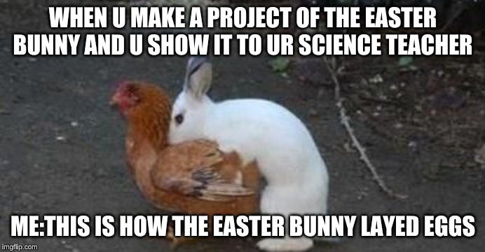 Easter eggs | WHEN U MAKE A PROJECT OF THE EASTER BUNNY AND U SHOW IT TO UR SCIENCE TEACHER; ME:THIS IS HOW THE EASTER BUNNY LAYED EGGS | image tagged in easter eggs | made w/ Imgflip meme maker