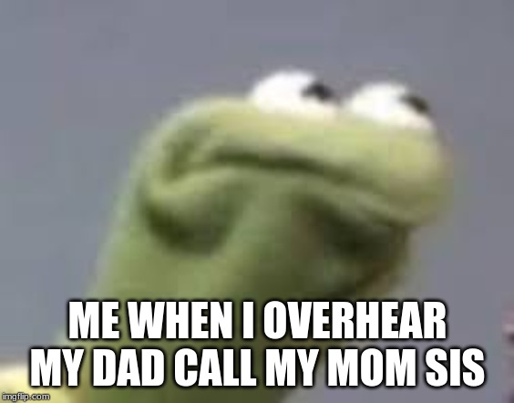 ANGERY | ME WHEN I OVERHEAR MY DAD CALL MY MOM SIS | image tagged in angery | made w/ Imgflip meme maker