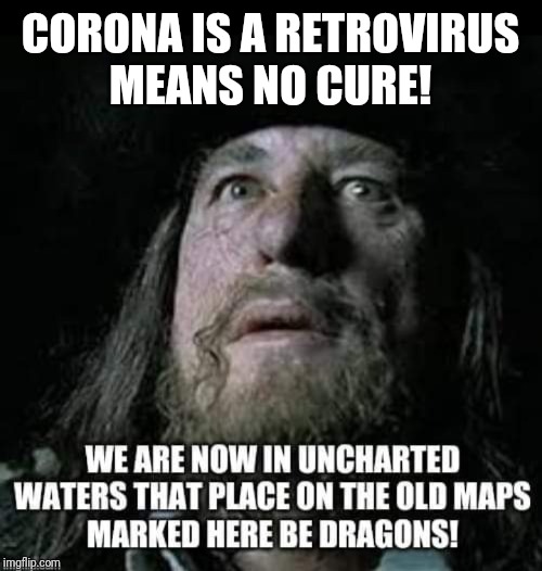 CORONA IS A RETROVIRUS
MEANS NO CURE! | image tagged in coronavirus | made w/ Imgflip meme maker