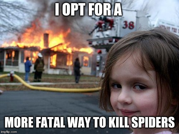 Disaster Girl Meme | I OPT FOR A; MORE FATAL WAY TO KILL SPIDERS | image tagged in memes,disaster girl | made w/ Imgflip meme maker