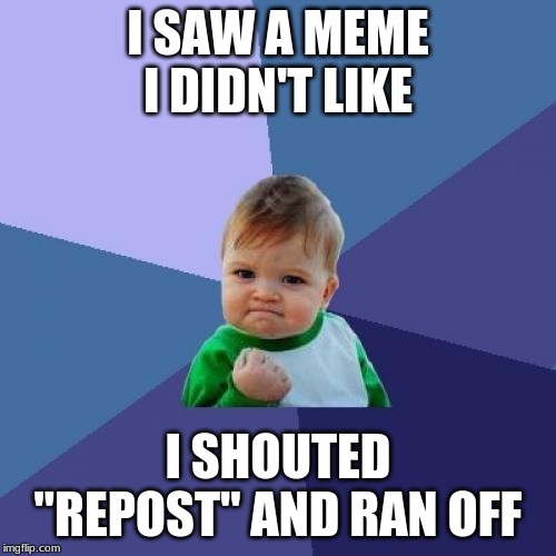Success Kid Meme | I SAW A MEME I DIDN'T LIKE; I SHOUTED "REPOST" AND RAN OFF | image tagged in memes,success kid | made w/ Imgflip meme maker