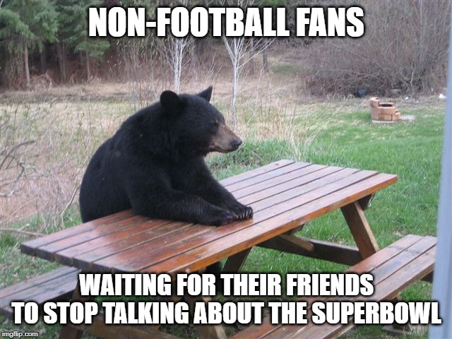 Patient Bear | NON-FOOTBALL FANS; WAITING FOR THEIR FRIENDS TO STOP TALKING ABOUT THE SUPERBOWL | image tagged in patient bear | made w/ Imgflip meme maker