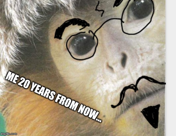 ME 20 YEARS FROM NOW... | image tagged in memes,monkey | made w/ Imgflip meme maker