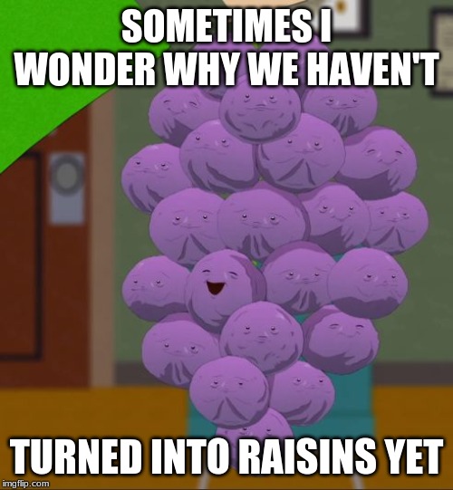 member berries  | SOMETIMES I WONDER WHY WE HAVEN'T; TURNED INTO RAISINS YET | image tagged in member berries | made w/ Imgflip meme maker