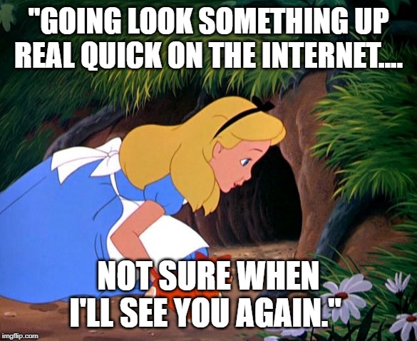 Alice Looking Down the Rabbit Hole | "GOING LOOK SOMETHING UP REAL QUICK ON THE INTERNET.... NOT SURE WHEN I'LL SEE YOU AGAIN." | image tagged in alice looking down the rabbit hole | made w/ Imgflip meme maker