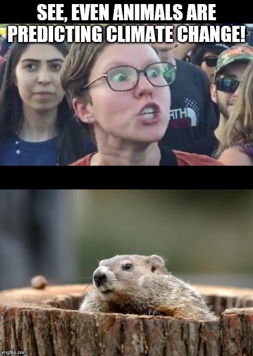 SEE, EVEN ANIMALS ARE PREDICTING CLIMATE CHANGE! | image tagged in groundhog,angry sjw | made w/ Imgflip meme maker