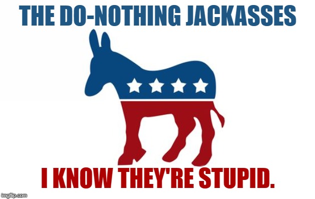 THE DO-NOTHING JACKASSES I KNOW THEY'RE STUPID. | made w/ Imgflip meme maker