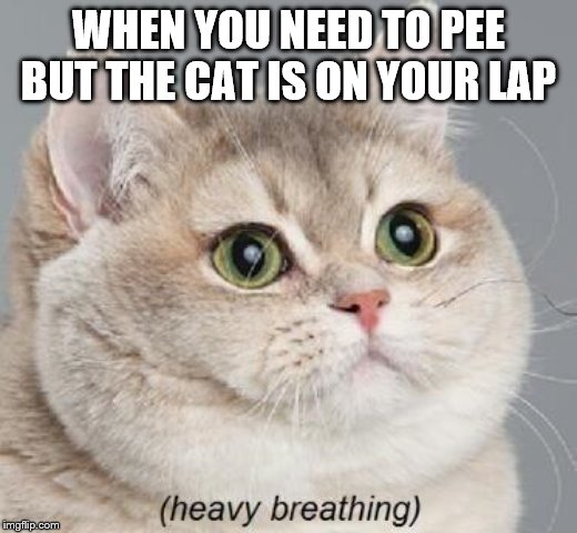 Heavy Breathing Cat Meme | WHEN YOU NEED TO PEE BUT THE CAT IS ON YOUR LAP | image tagged in memes,heavy breathing cat | made w/ Imgflip meme maker